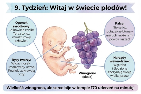 Rozwój dziecka w 9 tygodniu